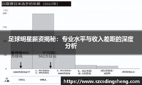 足球明星薪资揭秘：专业水平与收入差距的深度分析