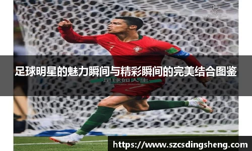 BB贝博艾弗森官方网站